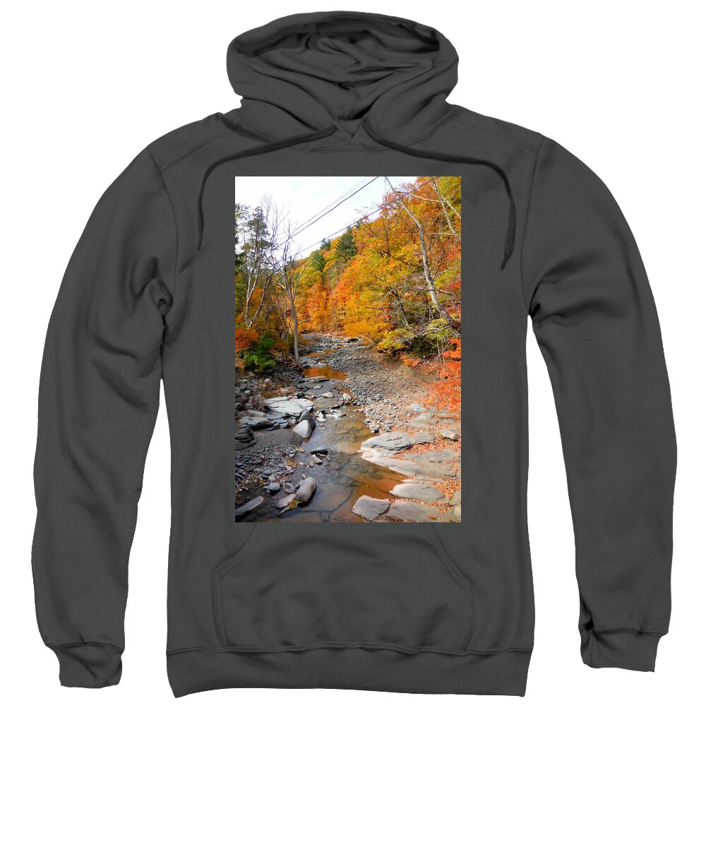 Autumn Creek Sweatshirt featuring the painting Autumn creek 5 by Jeelan Clark