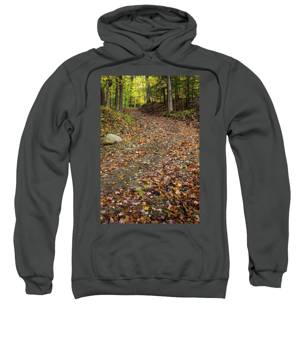 Autumn Pathway Sweatshirt featuring the photograph Autumn Pathway by Dale Kincaid