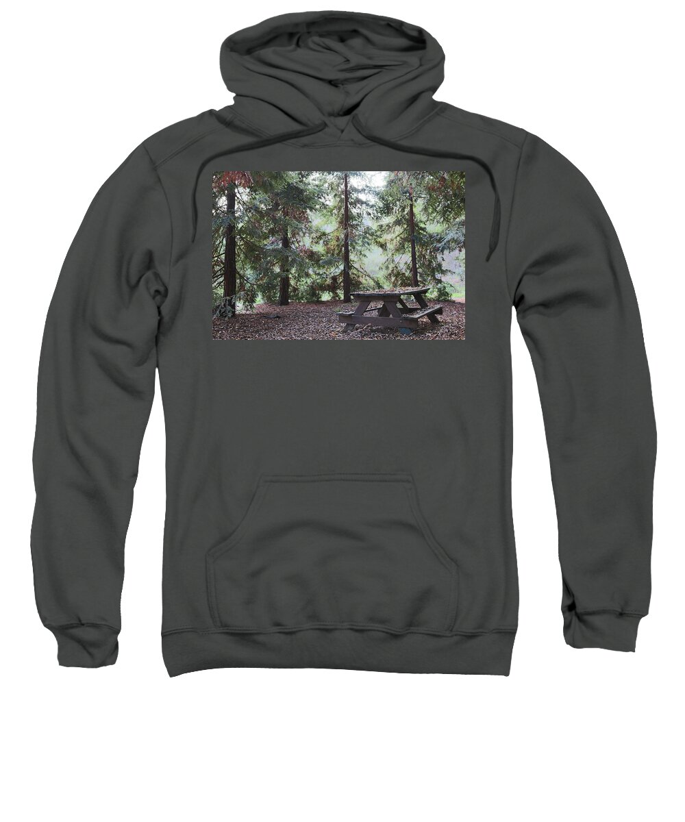 Woods Sweatshirt featuring the photograph Autumn Picnic in the woods by Christy Pooschke