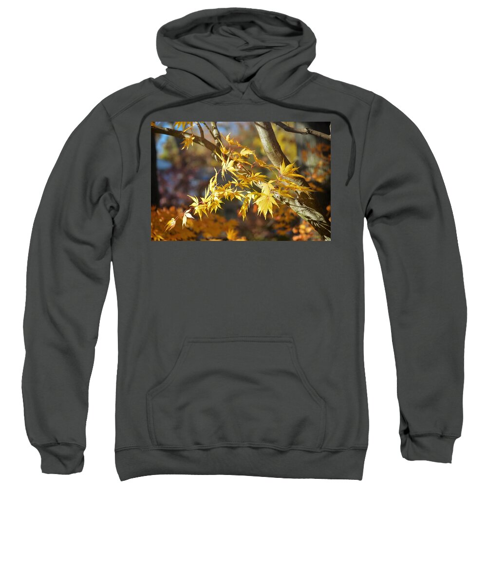 Maple Leaves Sweatshirt featuring the photograph Autumn Textures by Marla McPherson