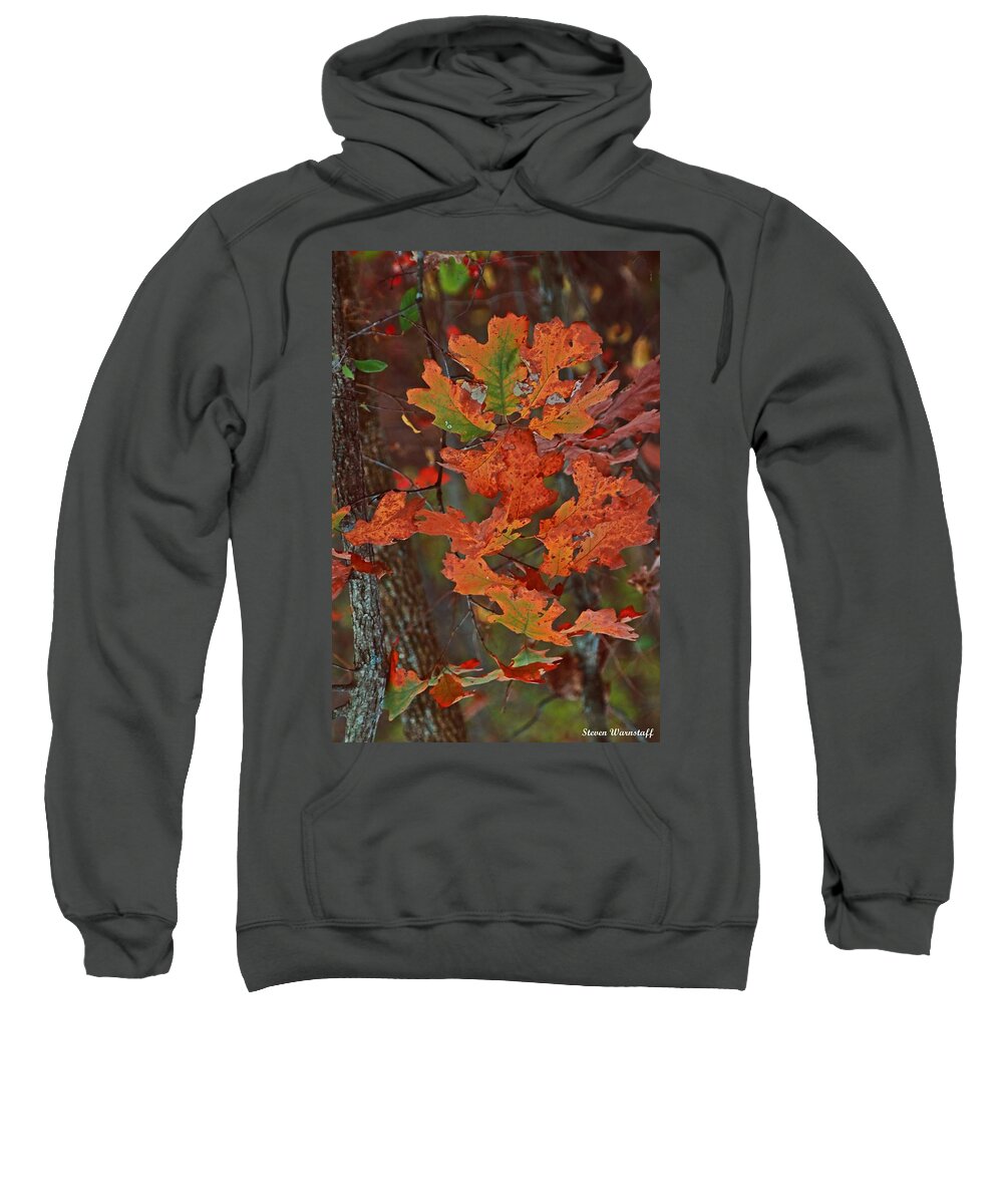 Tree Sweatshirt featuring the photograph Autumn's Treasure by Steve Warnstaff