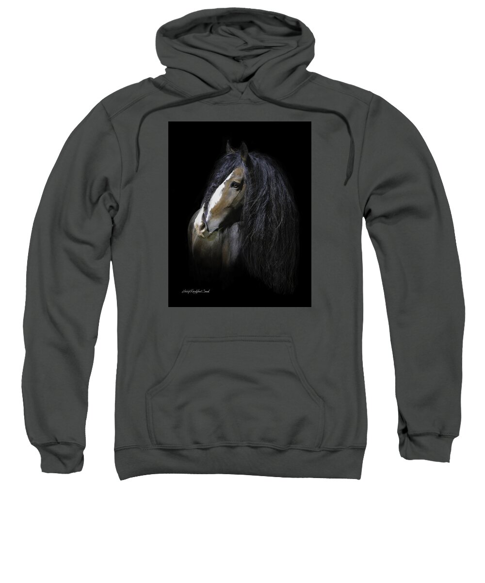 English Shire Sweatshirt featuring the photograph Awestruck by Terry Kirkland Cook
