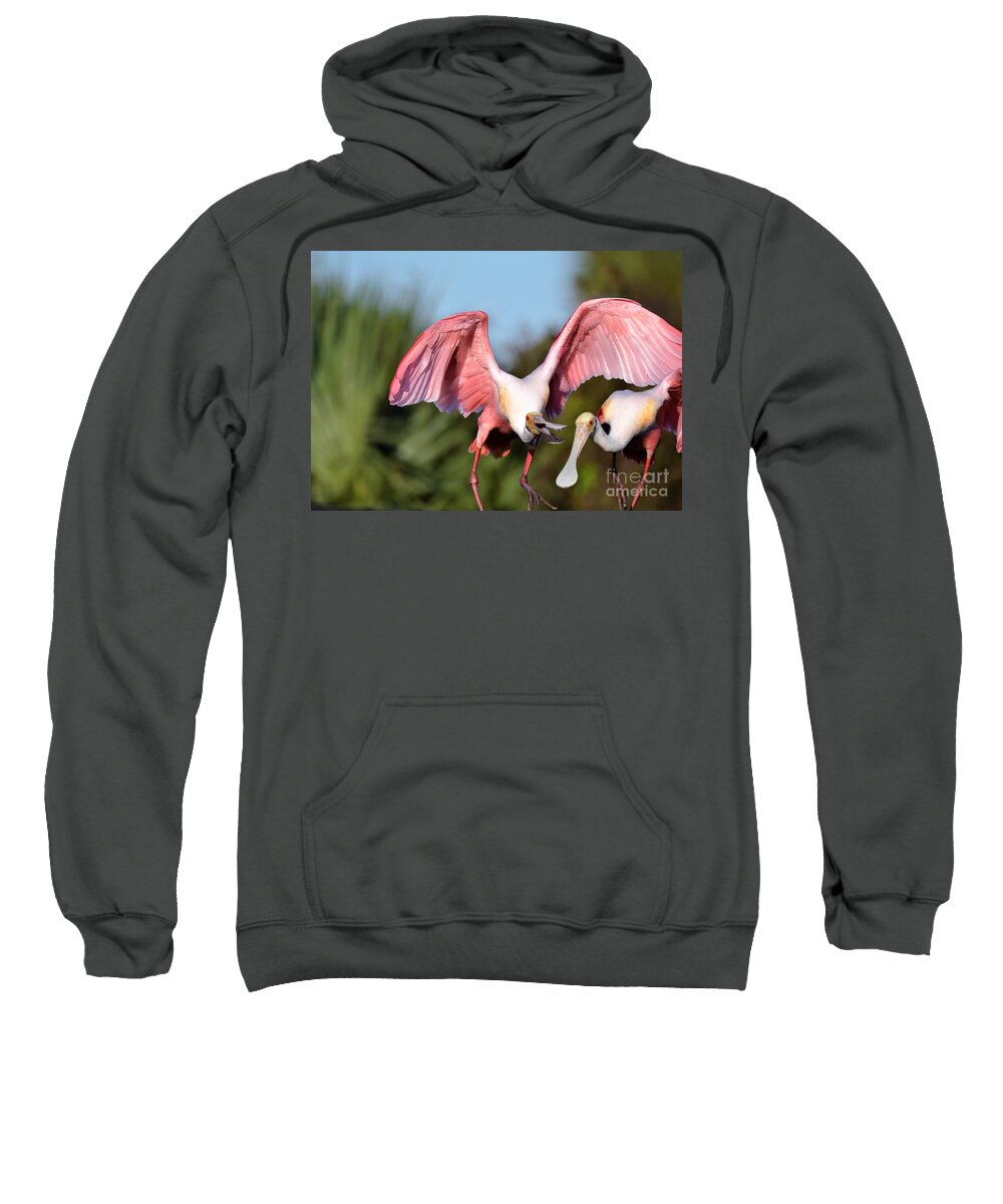 Roseate Spoonbill Sweatshirt featuring the photograph Back Off by Julie Adair