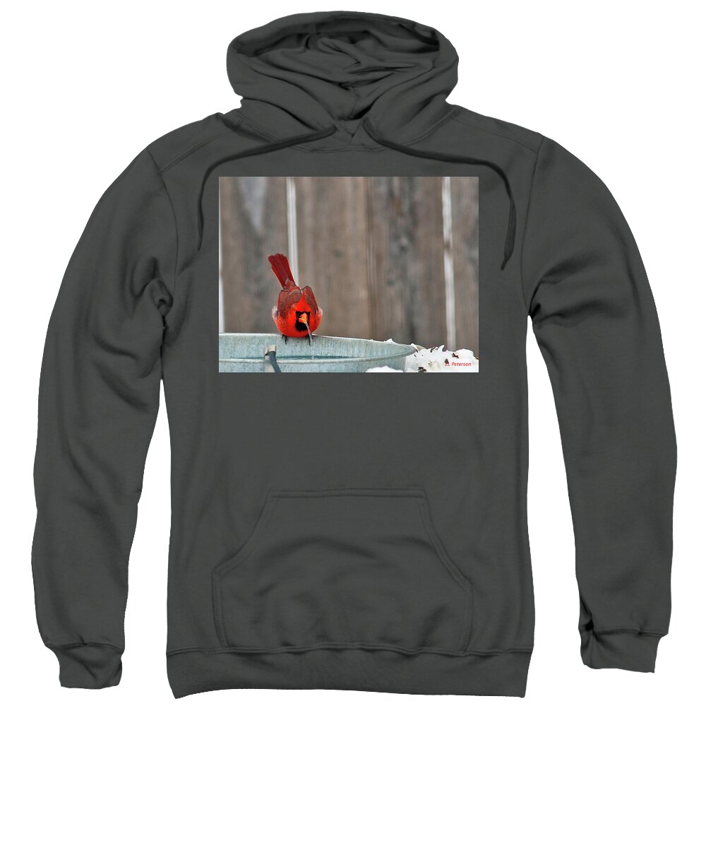 Northern Cardinal Sweatshirt featuring the photograph Bad Water by Ed Peterson