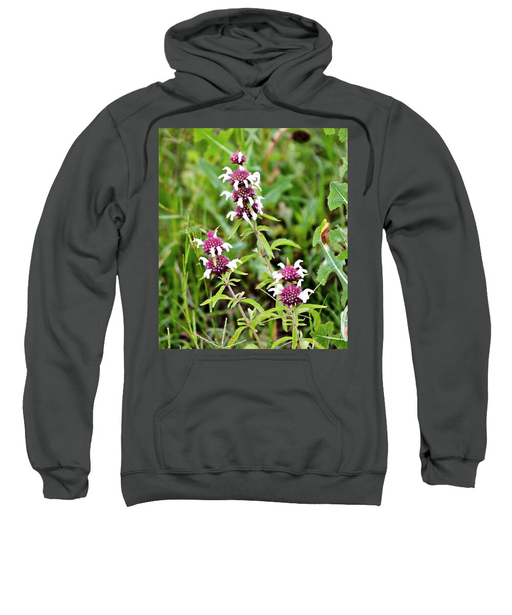 Wildflowers Sweatshirt featuring the photograph Balancing balls by James Smullins