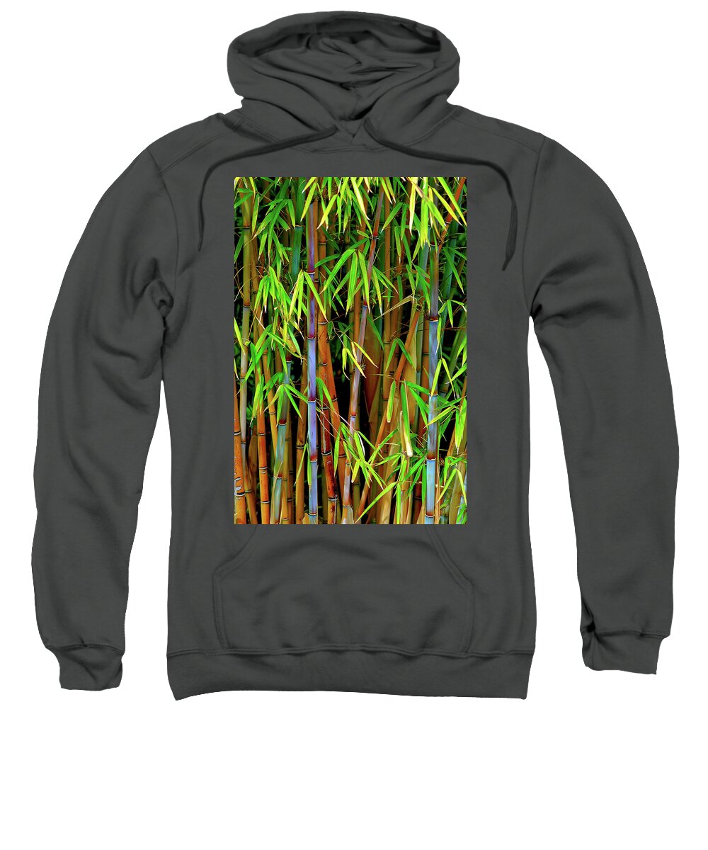 Bamboo Sweatshirt featuring the photograph Bamboo by Harry Spitz