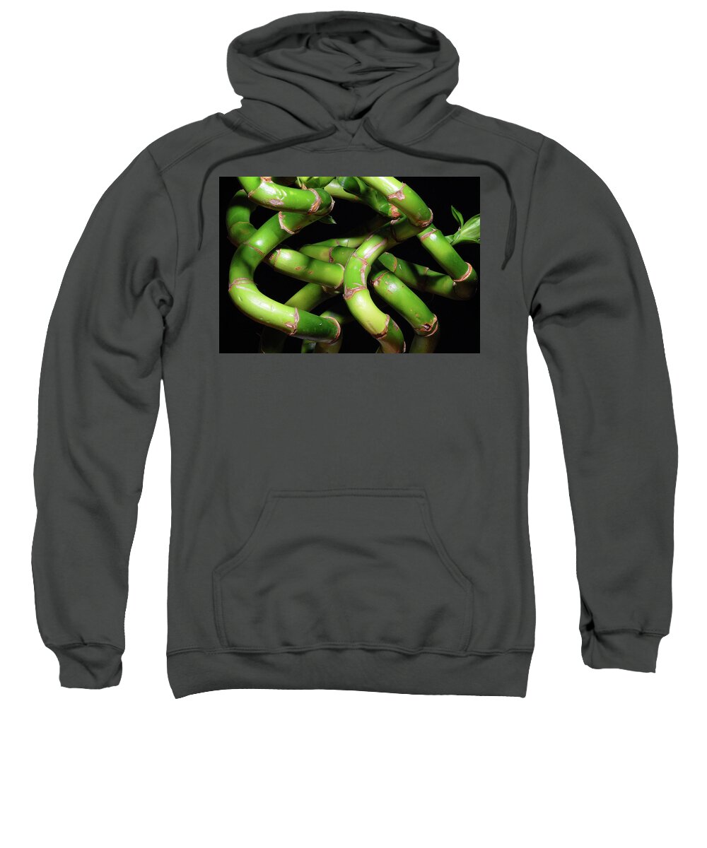 Bamboo Sweatshirt featuring the photograph Bamboozle by Ted Keller