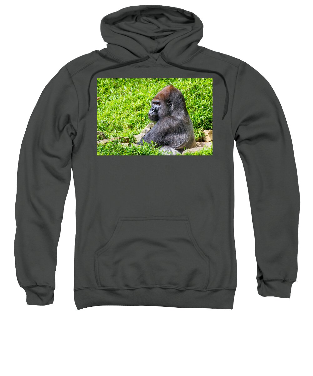 Baraka Sweatshirt featuring the photograph Baraka - Western Lowalnd Silverback Gorilla by SR Green