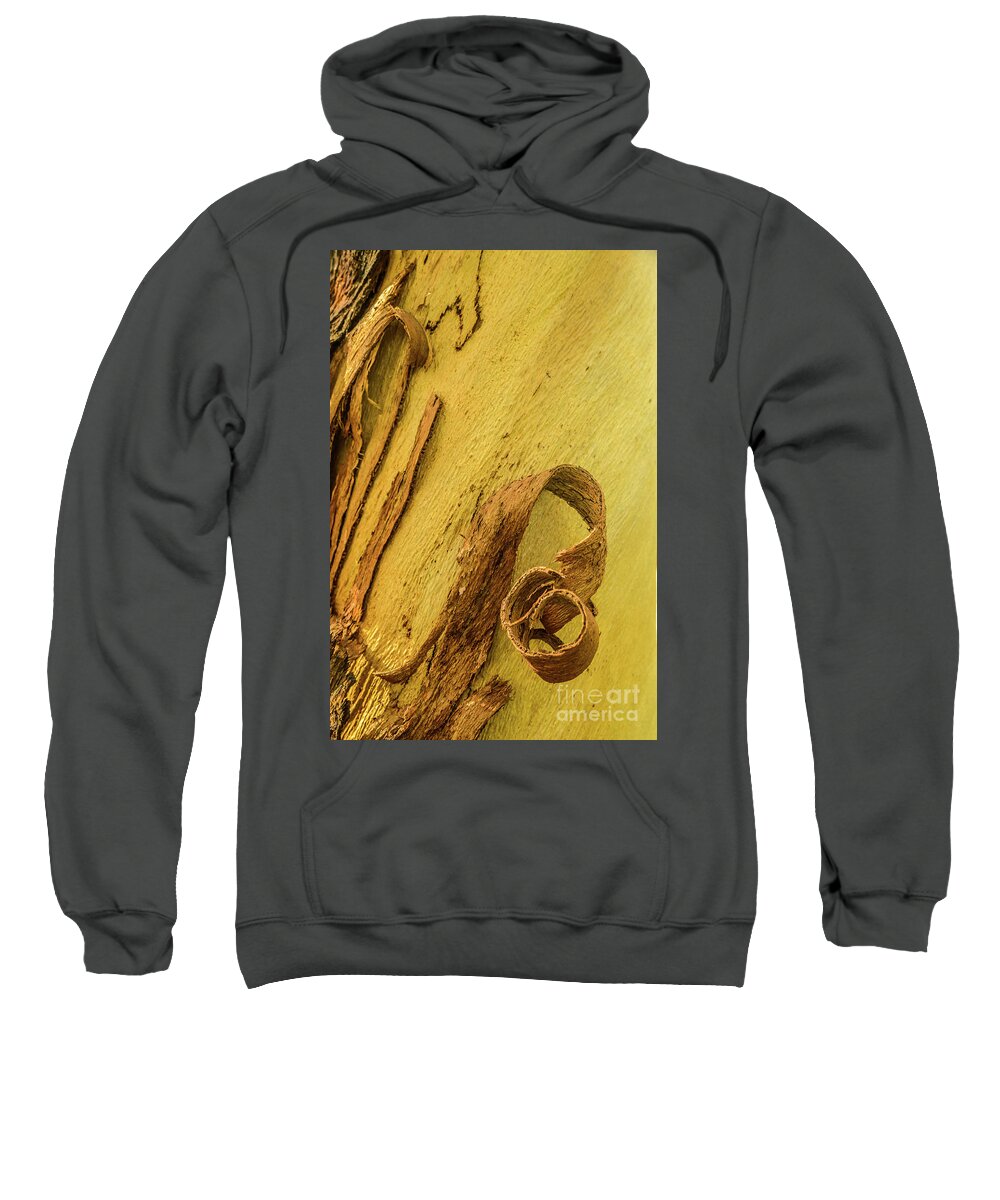 Tree Sweatshirt featuring the photograph Bark A07 by Werner Padarin