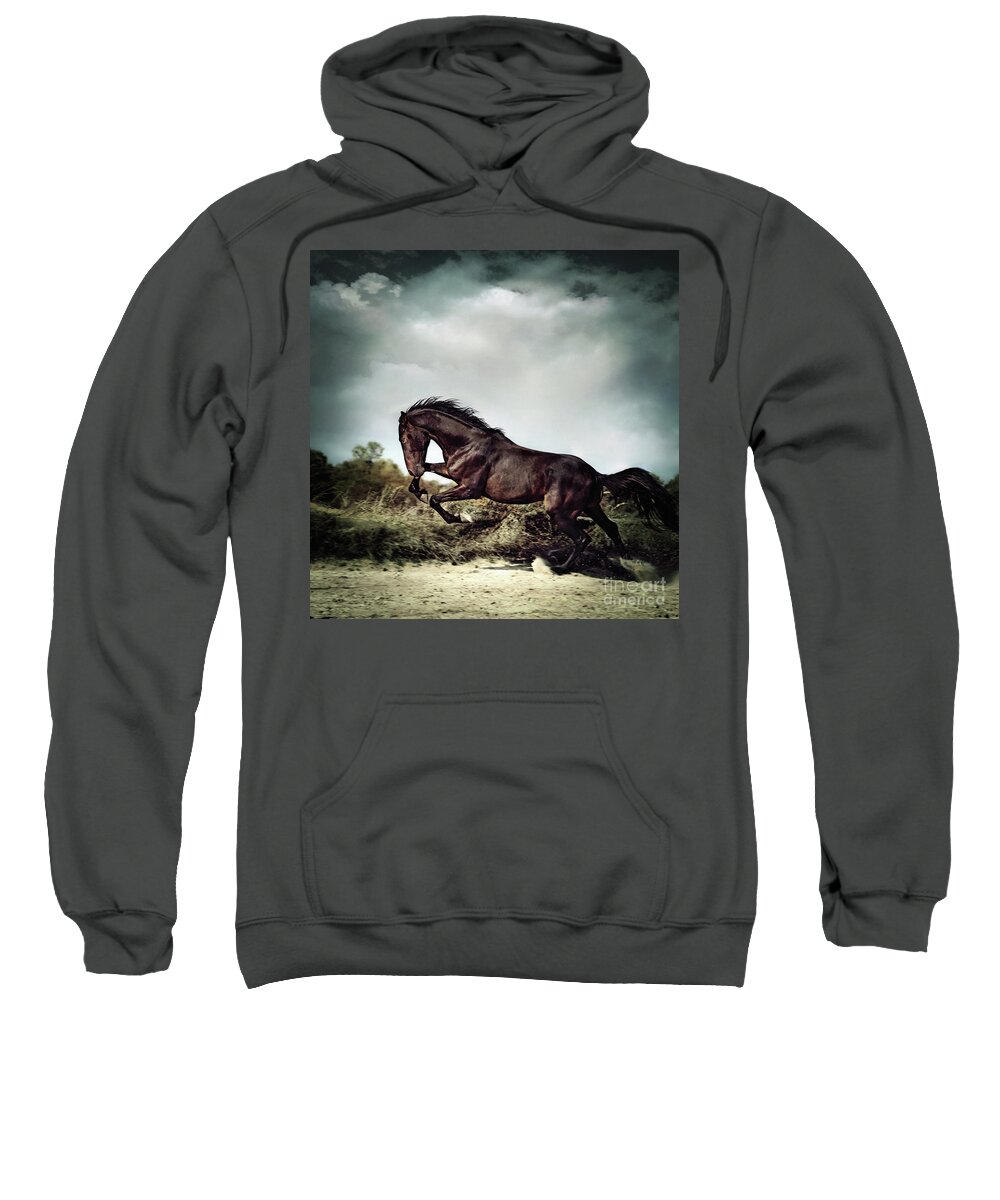 Horse Sweatshirt featuring the photograph Beautiful black stallion horse running on the stormy sky by Dimitar Hristov