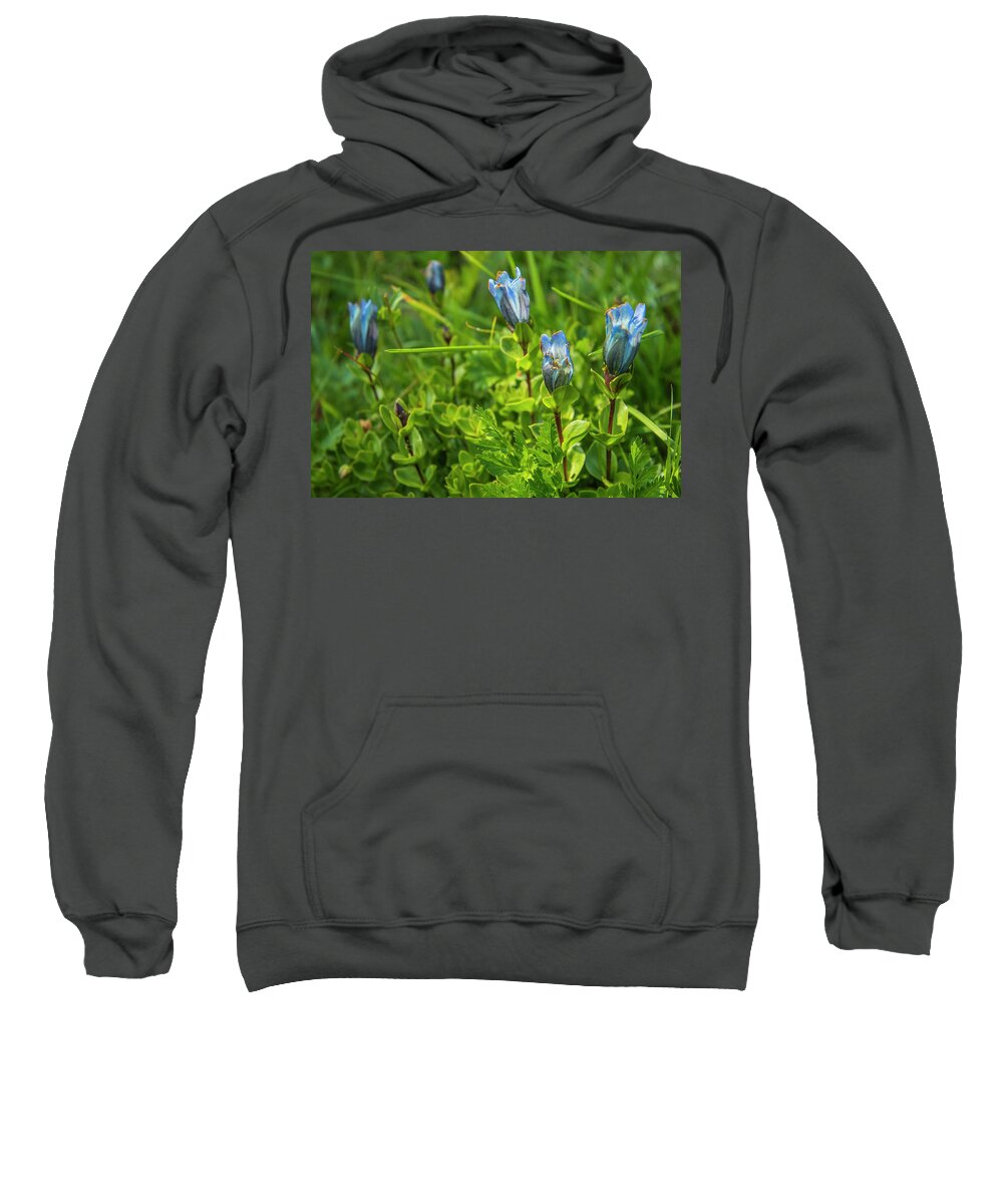 Mt Rainier Sweatshirt featuring the photograph Beautiful Bouquet by Doug Scrima