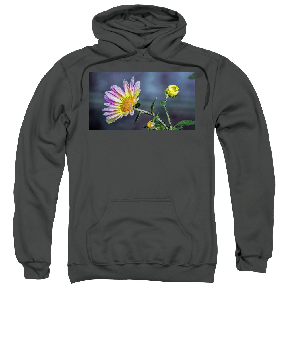 Flora Sweatshirt featuring the photograph Beauty and the Beasts by Dave Bosse