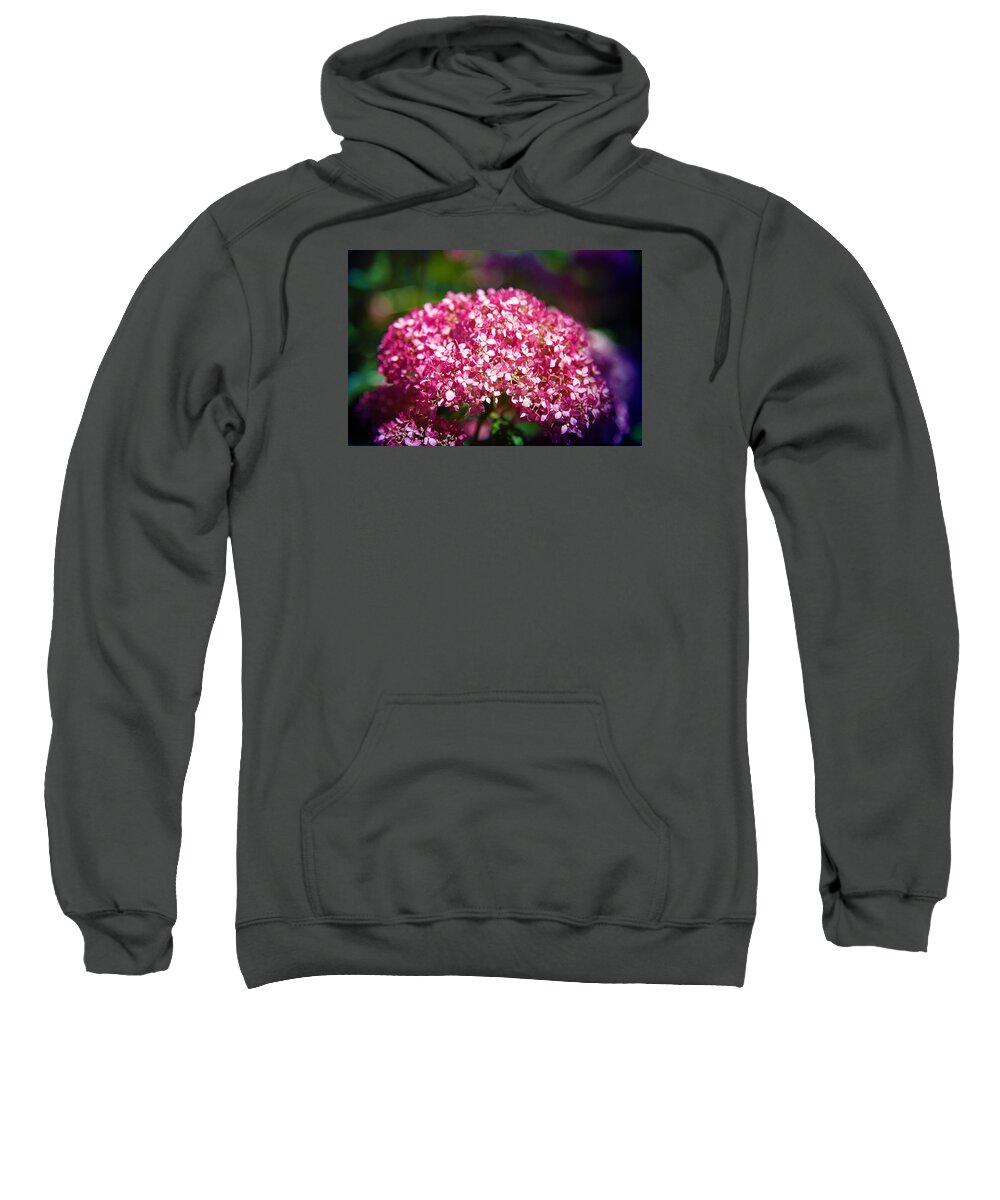 Hydrangea Sweatshirt featuring the photograph Beauty in Pink by Milena Ilieva