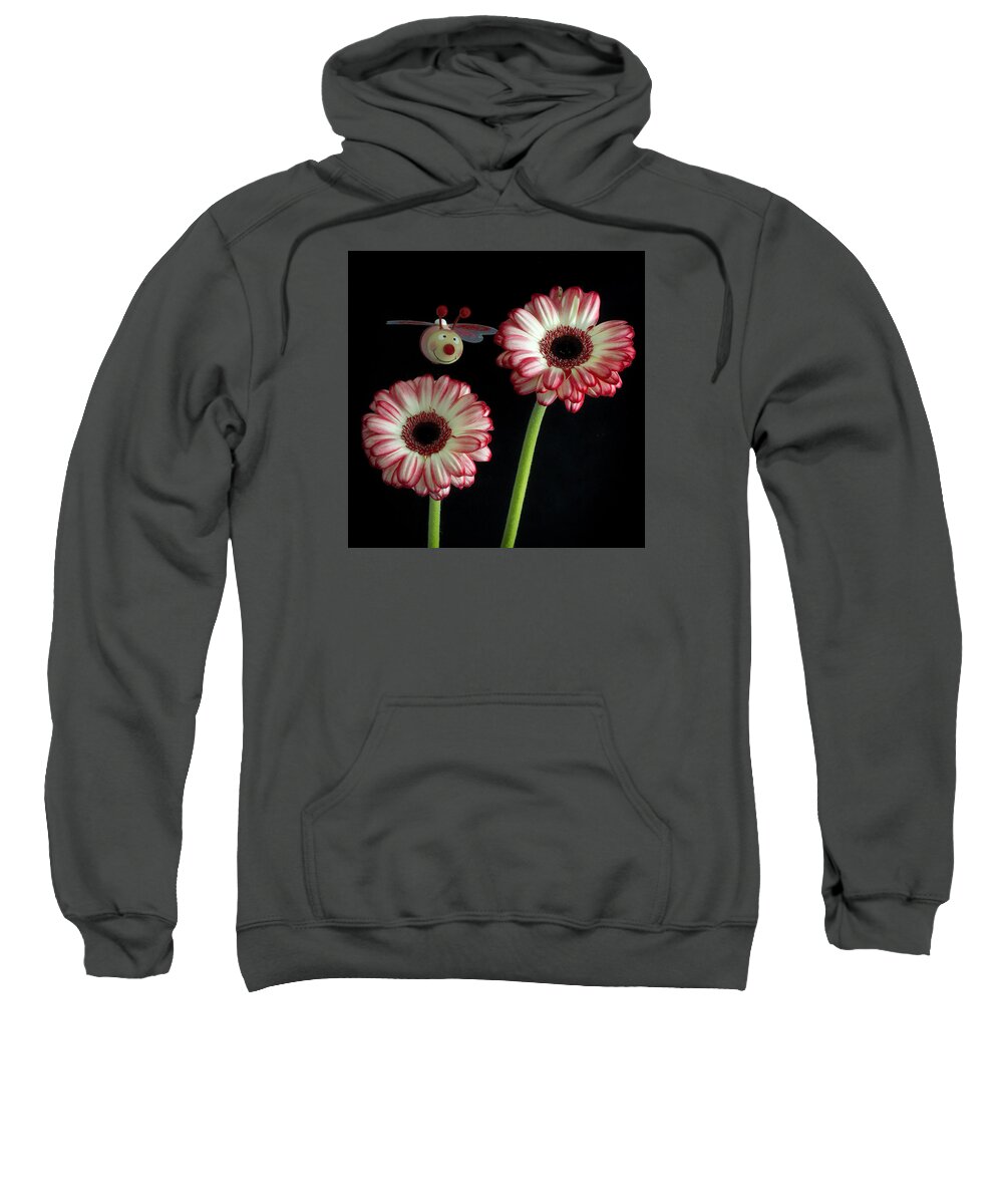 Floral Sweatshirt featuring the photograph Bee Happy by Shirley Mitchell