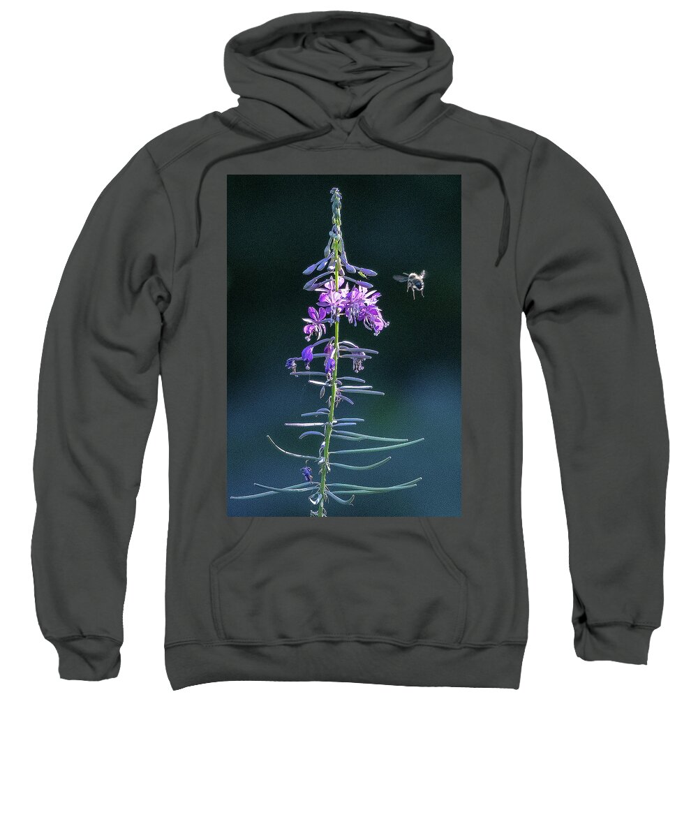 Bee Sweatshirt featuring the photograph Bee Landing by Timothy Anable