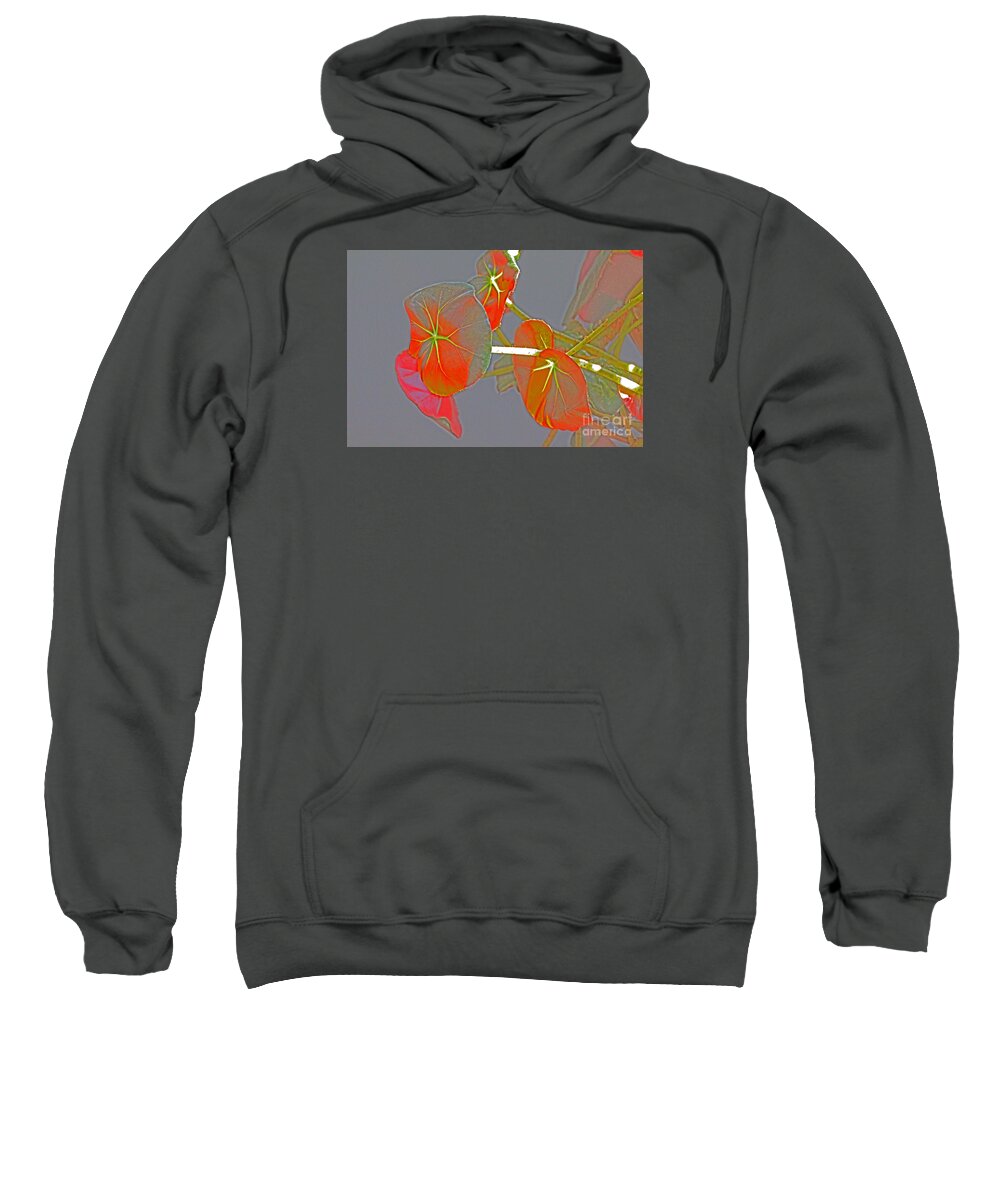 Begonia Sweatshirt featuring the photograph Begonia Flowers Imprsionistic by David Frederick