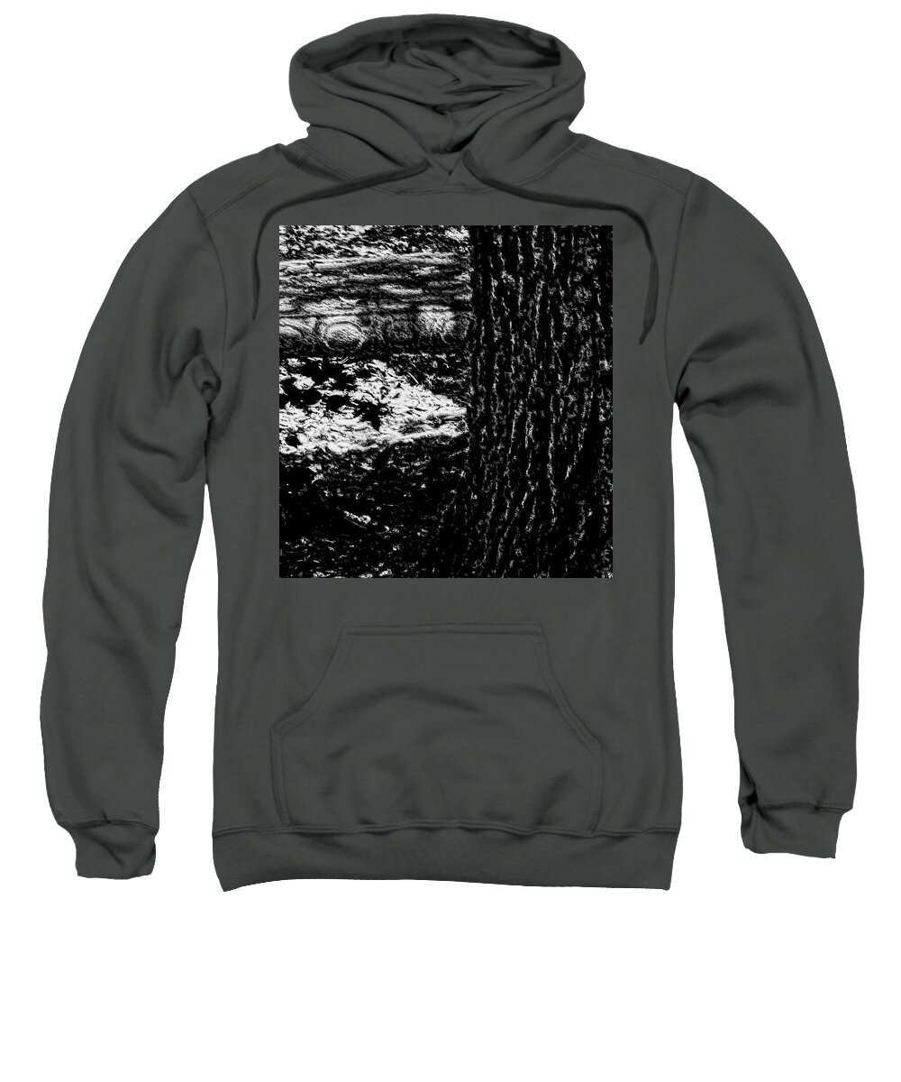Bench Sweatshirt featuring the photograph Bench Loves Tree by Gina O'Brien