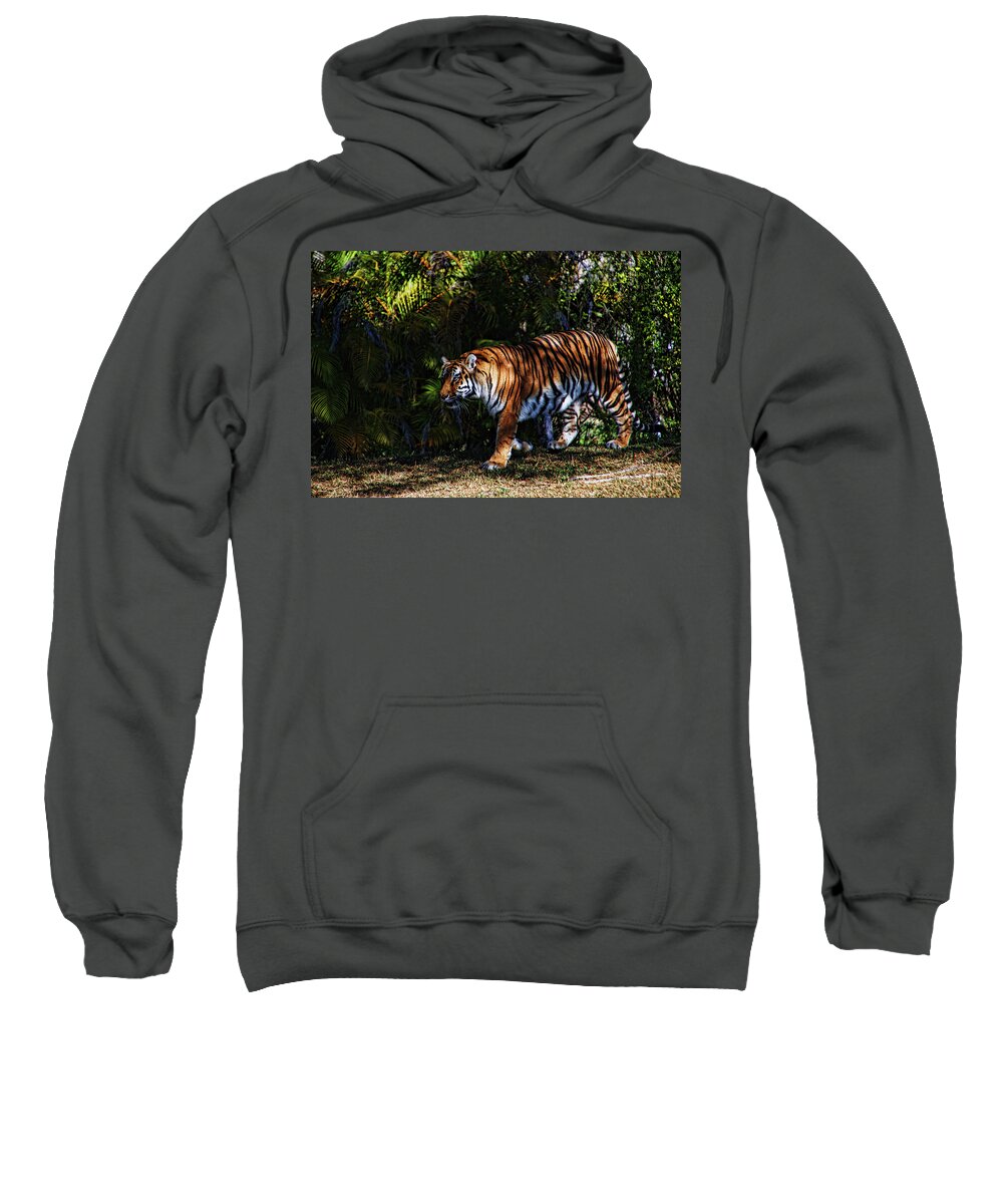 Wildlife Sweatshirt featuring the photograph Bengal Tiger - RDW001072 by Dean Wittle