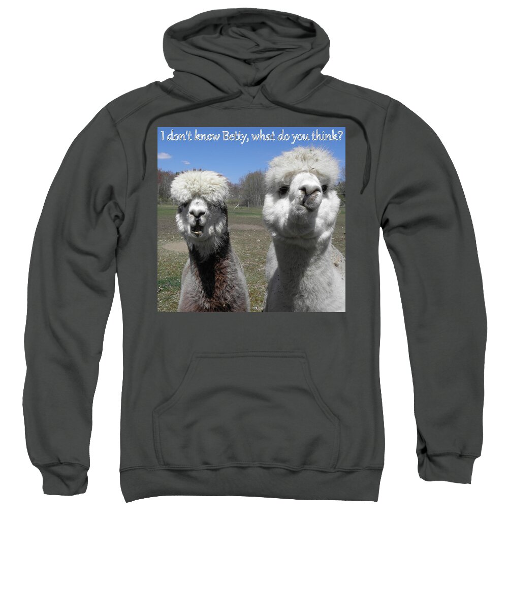Alpaca Sweatshirt featuring the photograph Betty what do you think by Kim Galluzzo