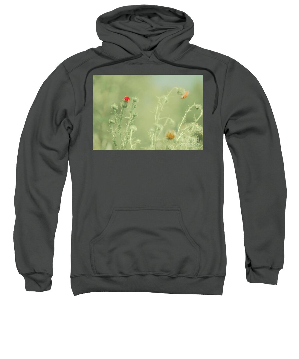 Thistles Sweatshirt featuring the photograph Big red, Little red by Merle Grenz