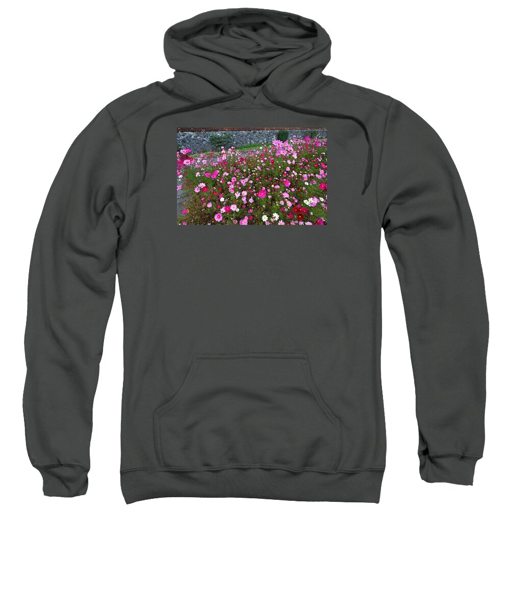 Biltmore Sweatshirt featuring the digital art Biltmore Garden by Larry Mccrea