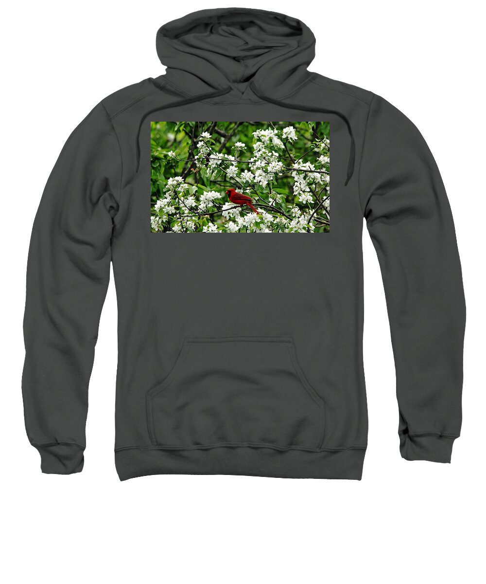 Red Cardinal Sweatshirt featuring the photograph Bird And Blossoms by Debbie Oppermann