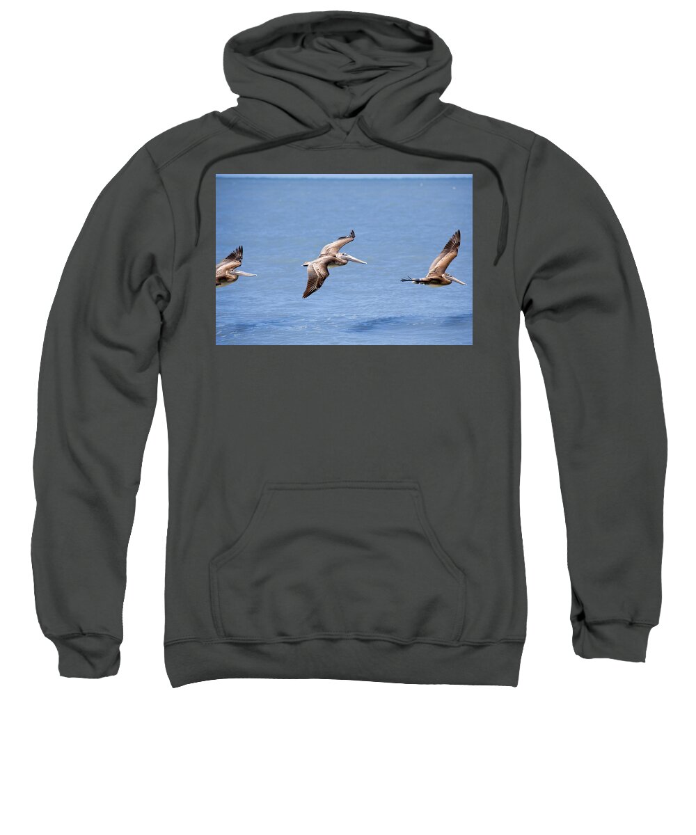 Birds Sweatshirt featuring the photograph Birds 1039 by Michael Fryd