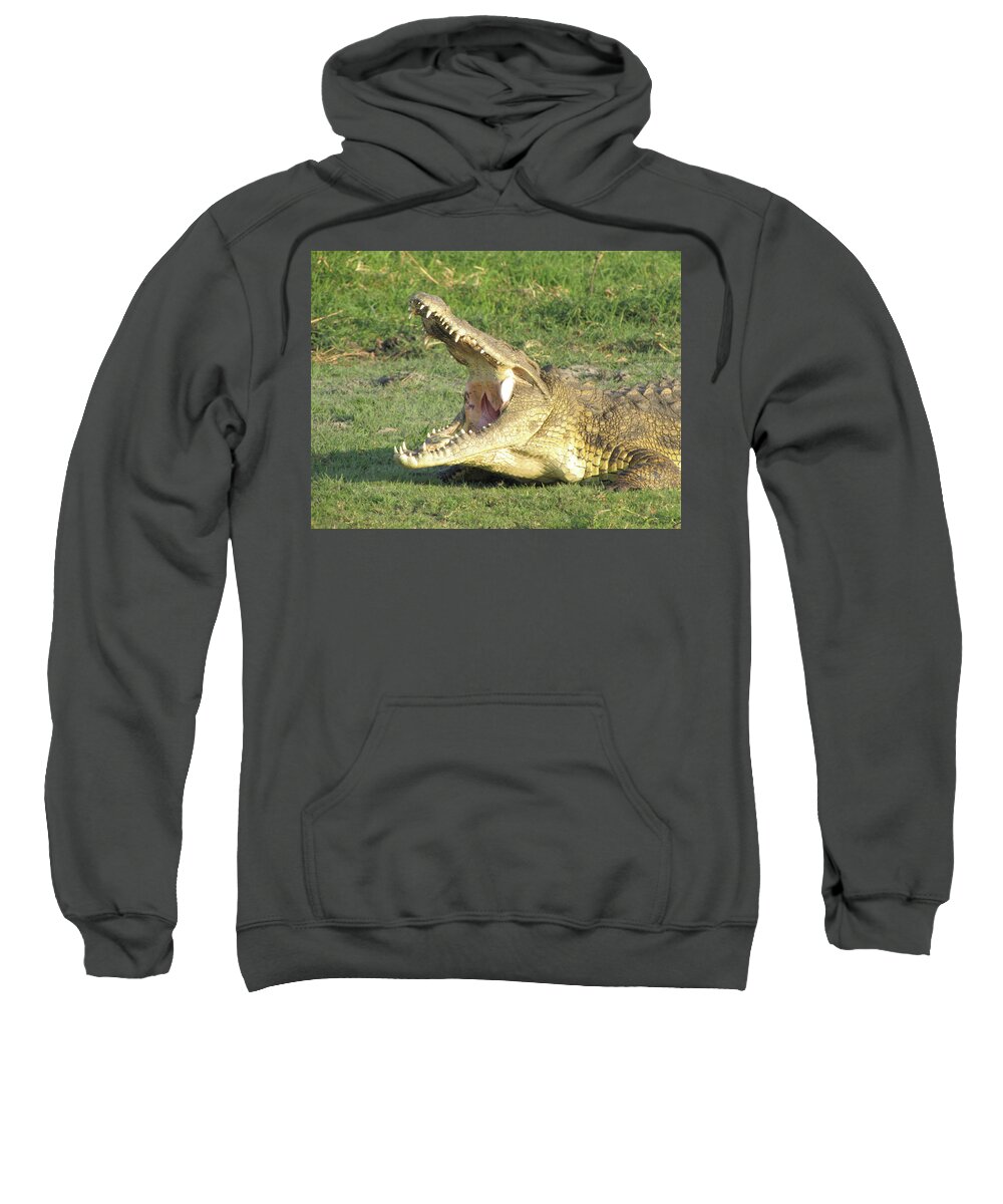 Crocodile Sweatshirt featuring the photograph Bite Me by David Bader