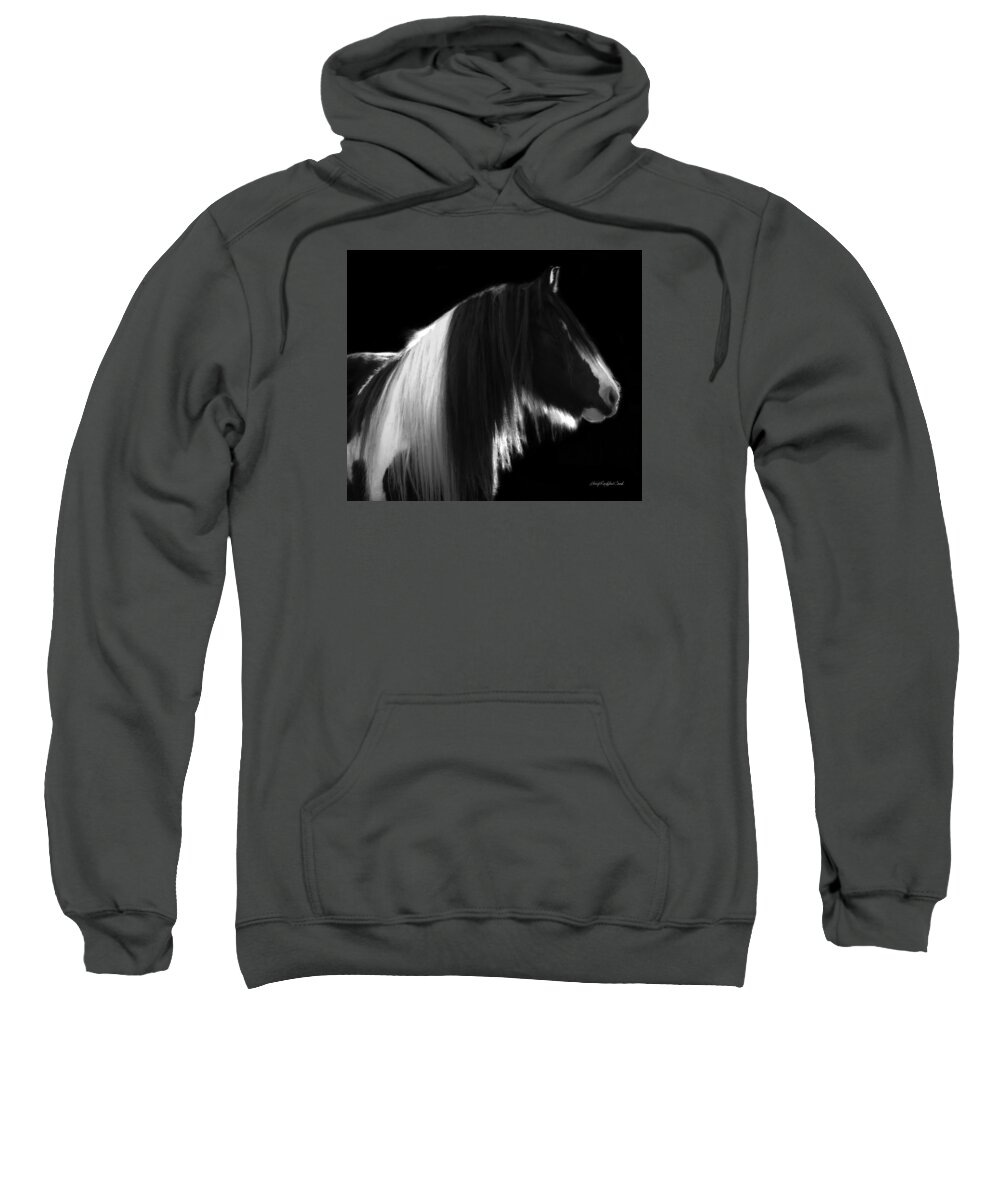 Equine Sweatshirt featuring the photograph Black and White Mare by Terry Kirkland Cook