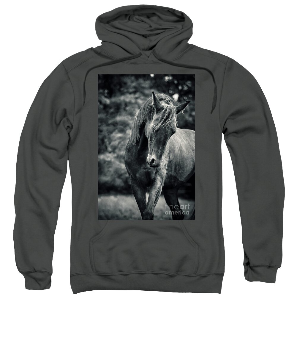 Horse Sweatshirt featuring the photograph Black and white portrait of horse by Dimitar Hristov