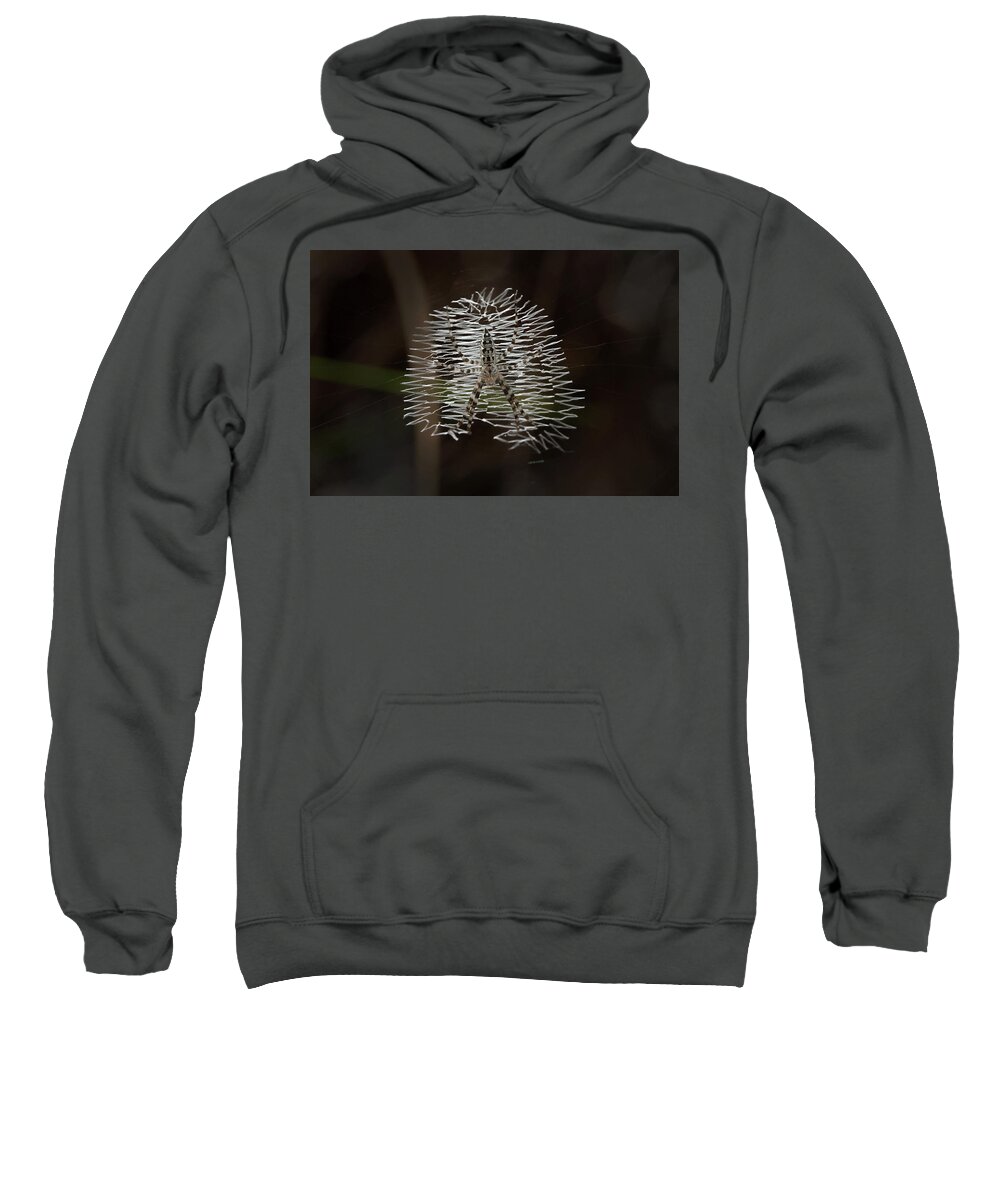 Spider Sweatshirt featuring the photograph Black and Yellow in White and Black by Paul Rebmann