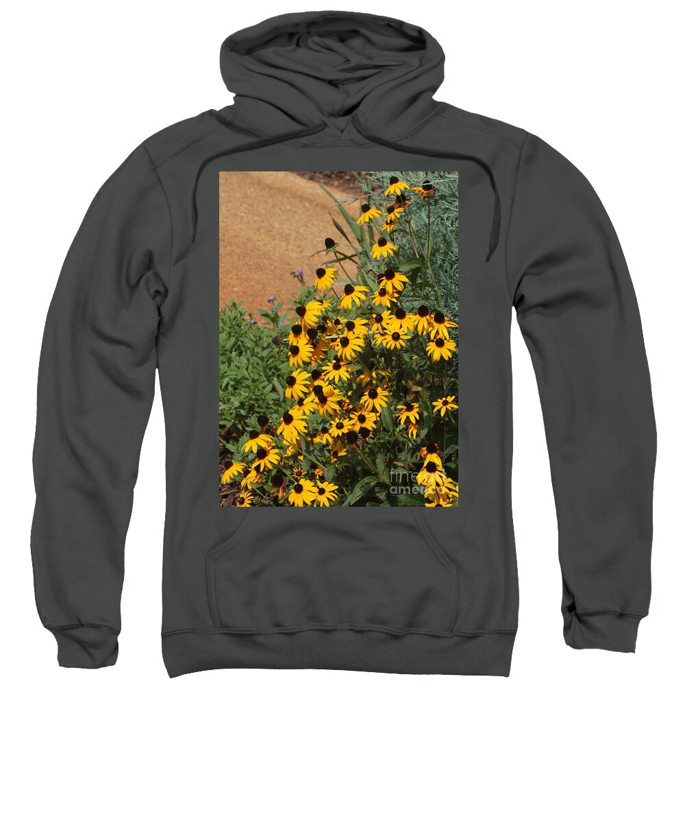 Flower Sweatshirt featuring the photograph Black-Eyed Susans Cascade by Sabrina L Ryan