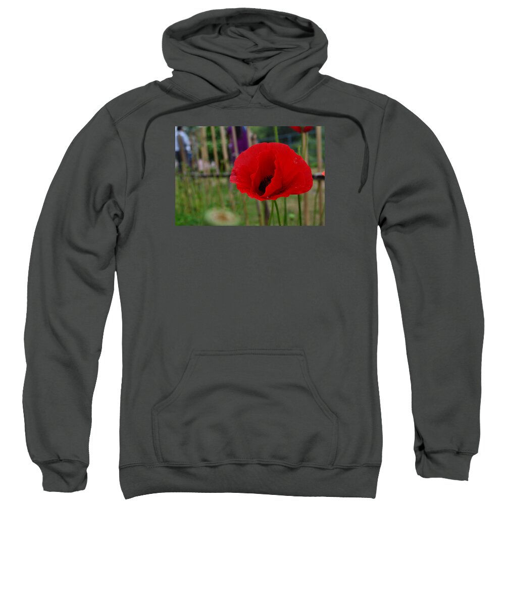 Red Flower Sweatshirt featuring the photograph Bloom by Eesha Reddy