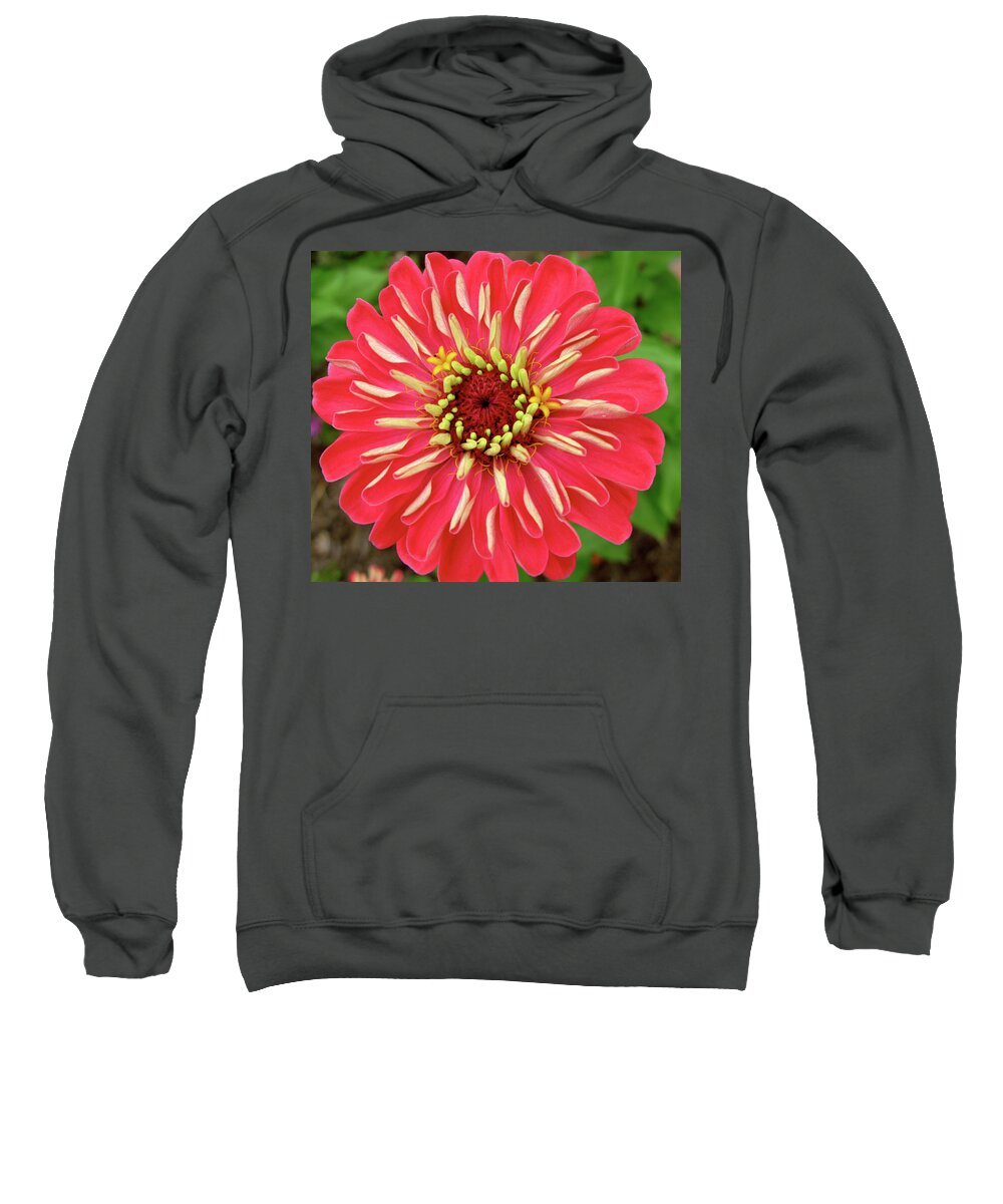 Flower Sweatshirt featuring the photograph Bloom by Rochelle Berman