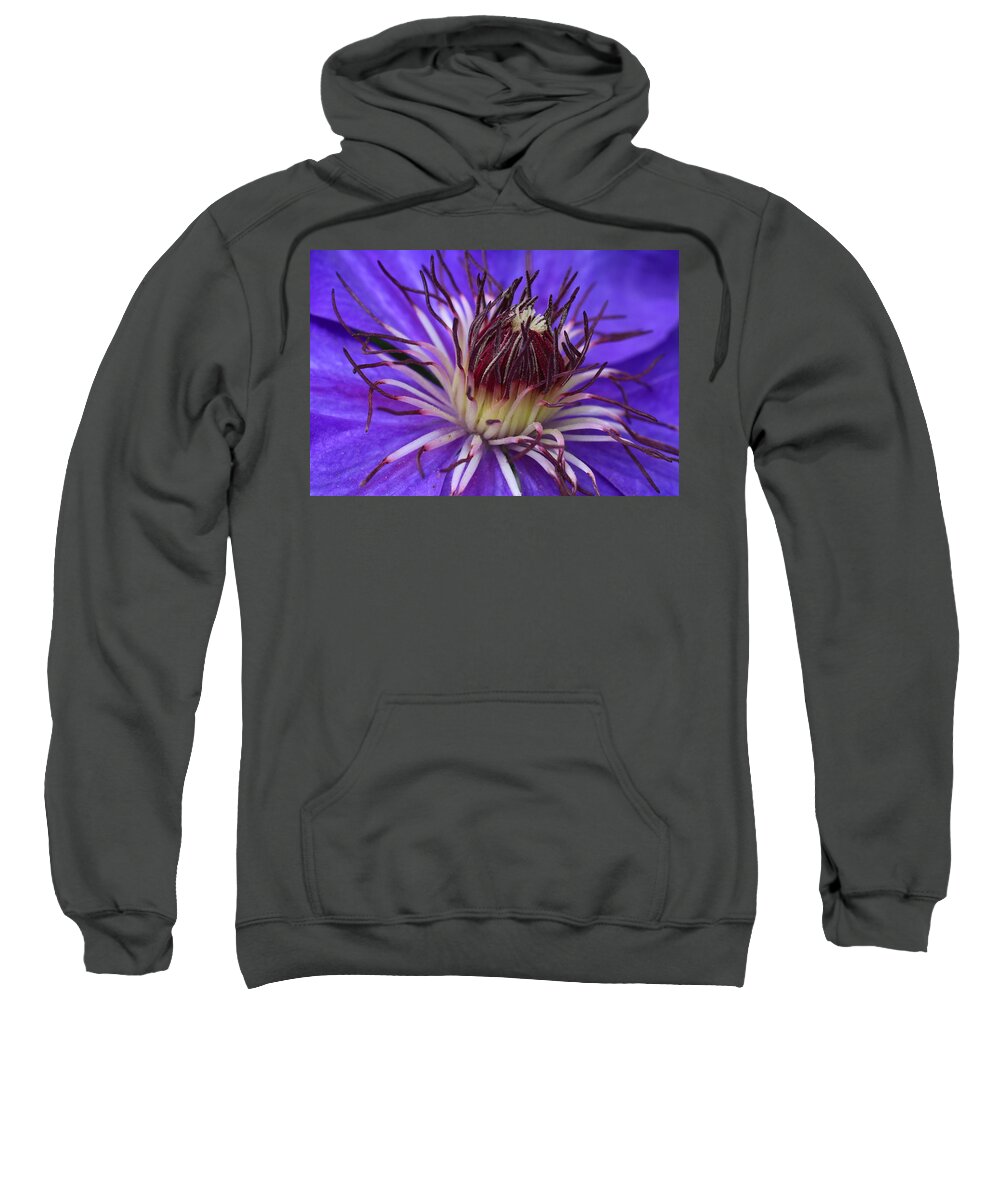 Clematis Sweatshirt featuring the photograph Blue Clematis Closeup by Kathryn Meyer