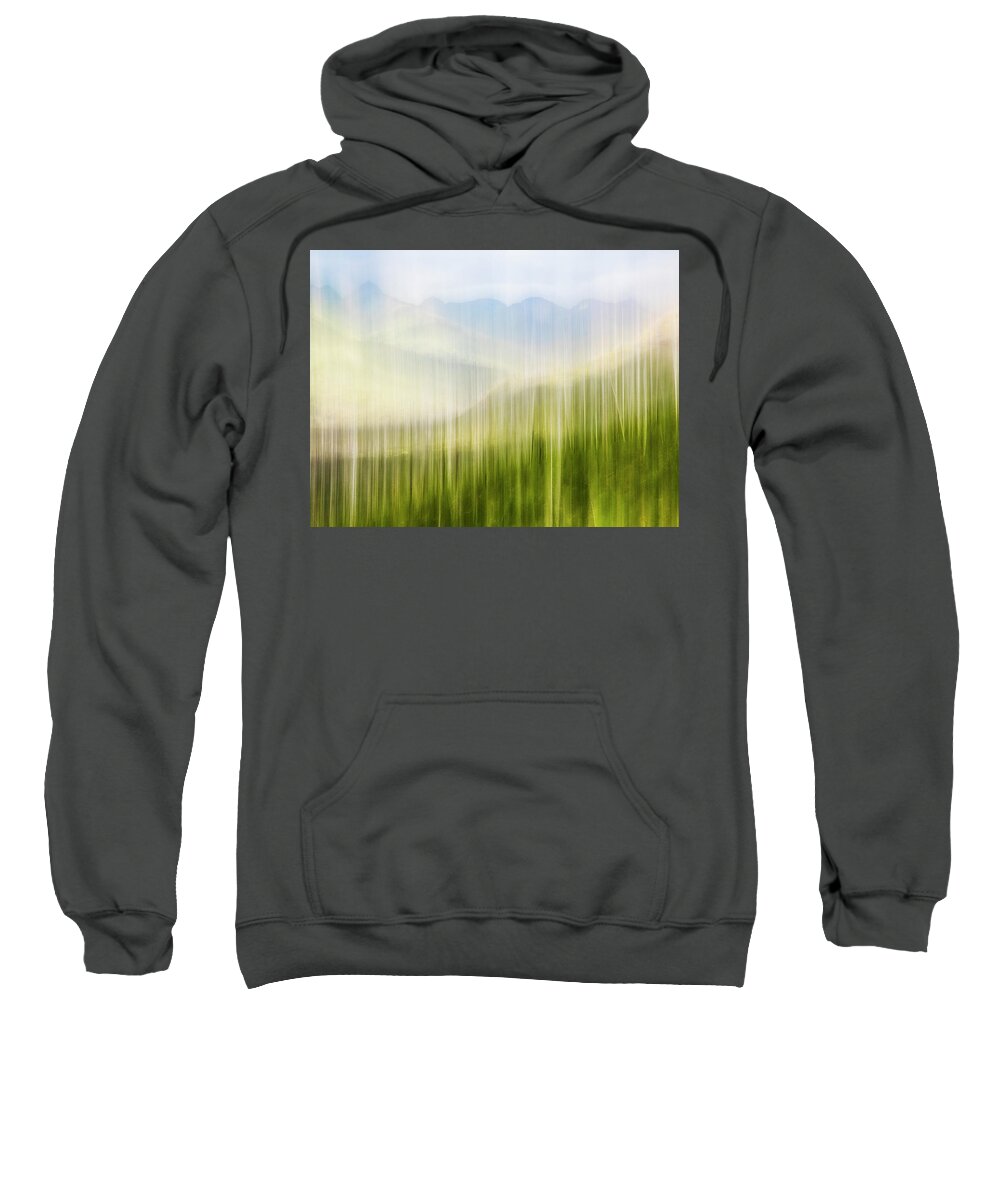 Forest Sweatshirt featuring the photograph Blurred reality by Usha Peddamatham