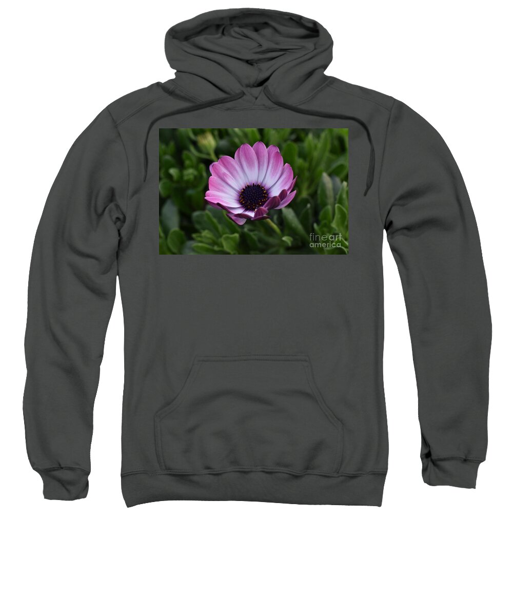 Digital Photography Sweatshirt featuring the digital art Blushed flower by Yenni Harrison
