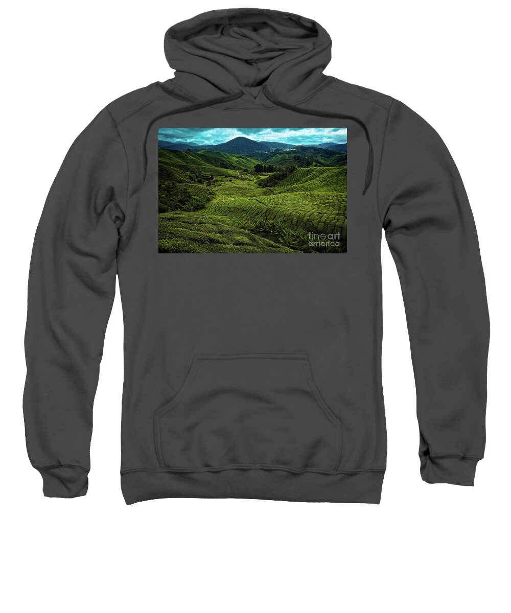 Malaysia Sweatshirt featuring the photograph BOH Tea Plantation in the Cameron Highlands, Pahang, Malaysia, Southeast Asia by Sam Antonio