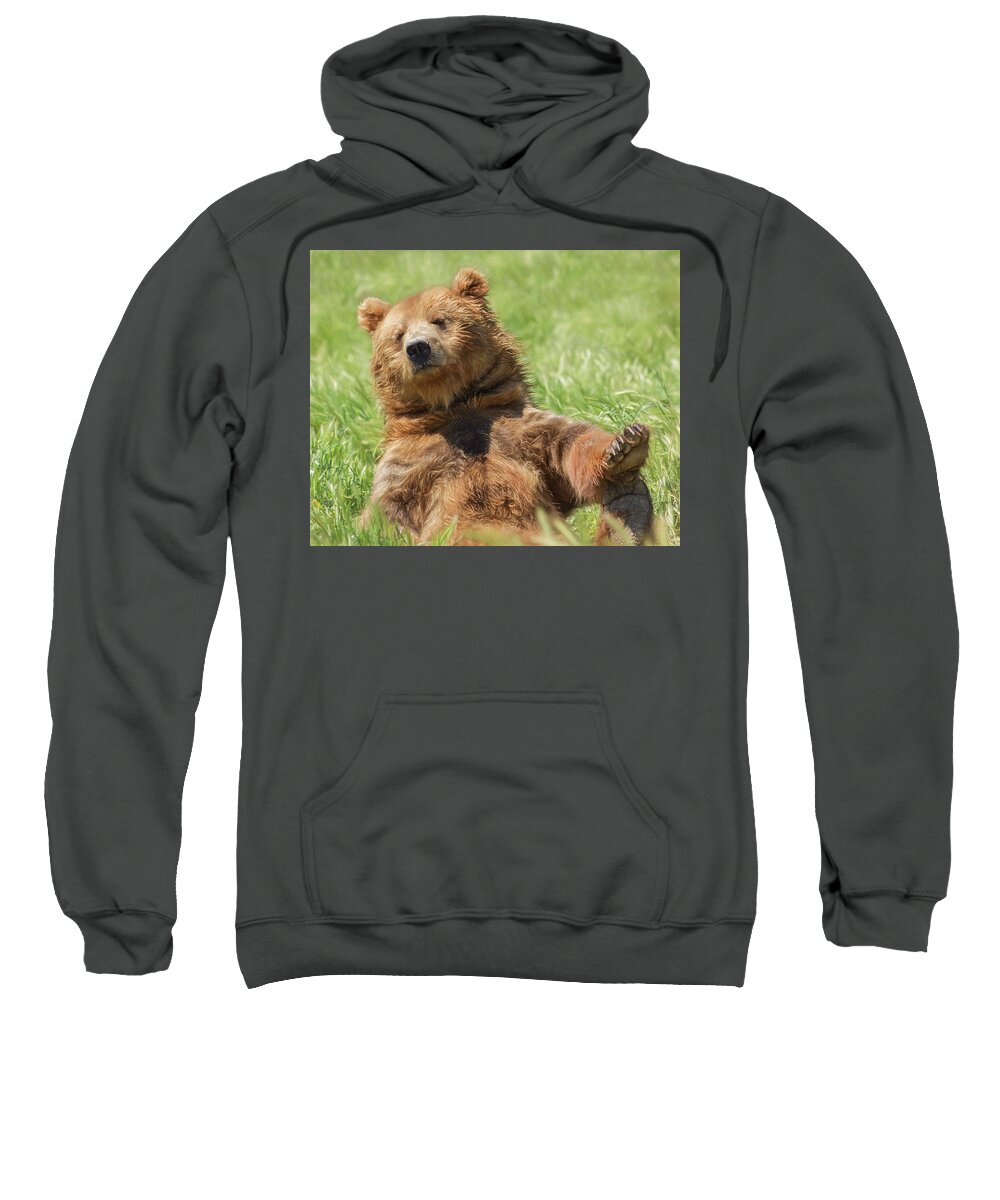 Boo Boo Bear Sweatshirt featuring the photograph Boo Boo Bear by Wes and Dotty Weber