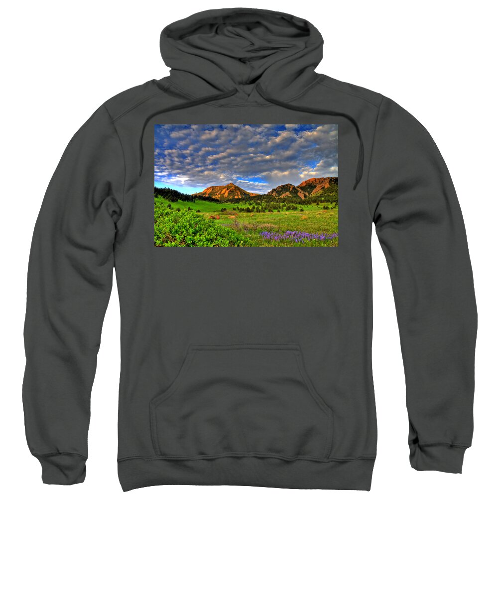 Boulder Sweatshirt featuring the photograph Boulder Spring Wildflowers by Scott Mahon