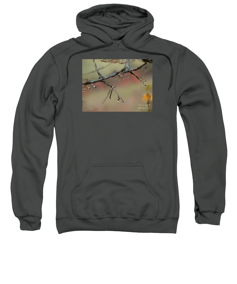 Branch Tree Abstract Water On A The An Craig Walters Art Artist Artistic Photo Photograph Photographic Drop Droplets Stem Sweatshirt featuring the digital art Branch with Water abstract by Craig Walters