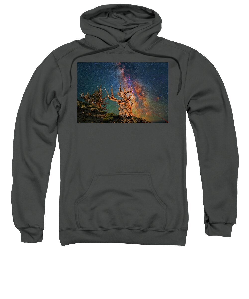 Astronomy Sweatshirt featuring the photograph Branching Out by Ralf Rohner