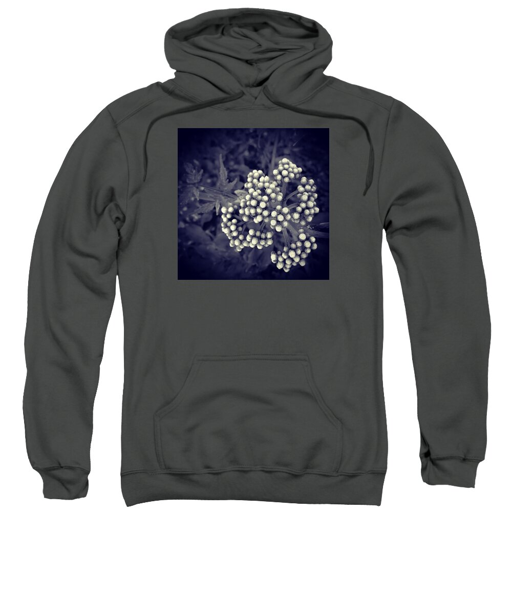 Bronchi Sweatshirt featuring the photograph Bronchi by Lean P