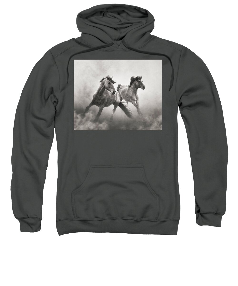 Horses Sweatshirt featuring the photograph Brothers of the Dust by Ron McGinnis