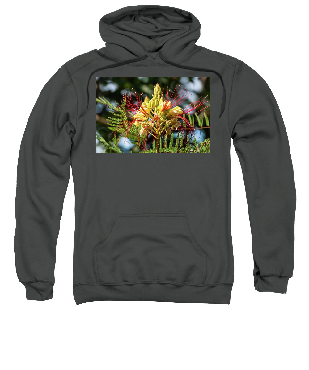 Flower Sweatshirt featuring the photograph Burst Of Beauty by Charles McCleanon