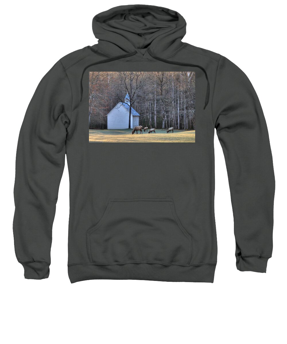 Cataloochee Sweatshirt featuring the photograph Bull Elk Attending Palmer Chapel in the Great Smoky Mountains National Park by Carol Montoya
