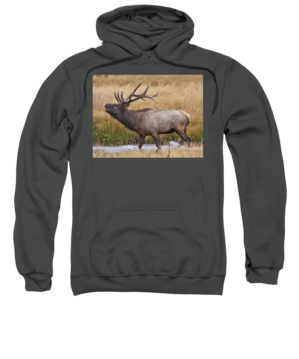 Elk Sweatshirt featuring the photograph Bull Elk in Yellowstone by Wesley Aston