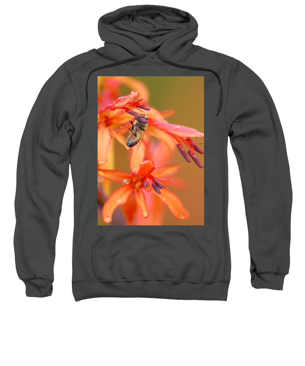 Bee Sweatshirt featuring the photograph Busy Bee by Amy Fose