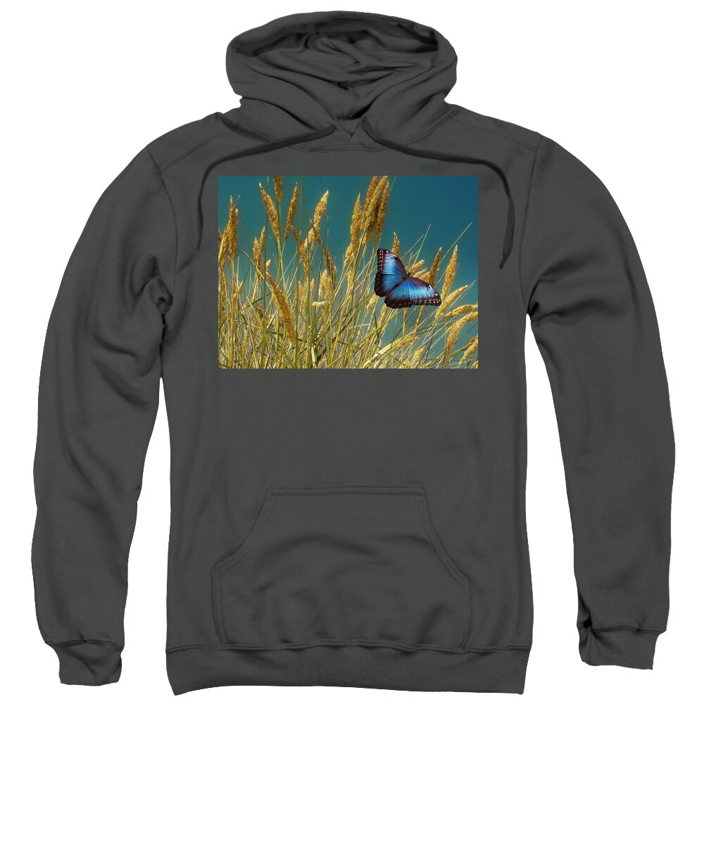 Butterfly Sweatshirt featuring the photograph Butterfly Fields of Grain Blue by David Dehner