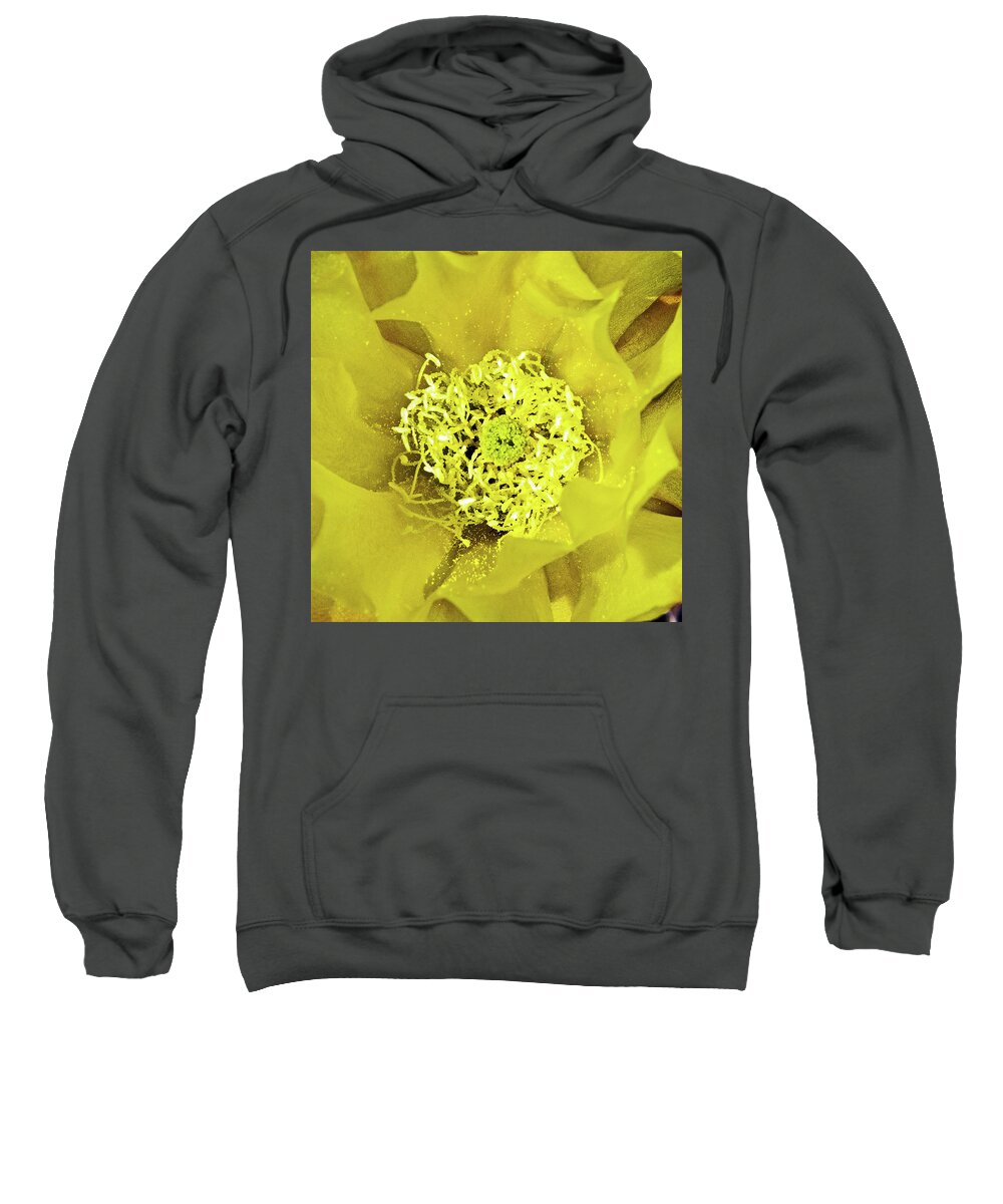 Grasslands Sweatshirt featuring the photograph Cactus Flower by Ira Marcus